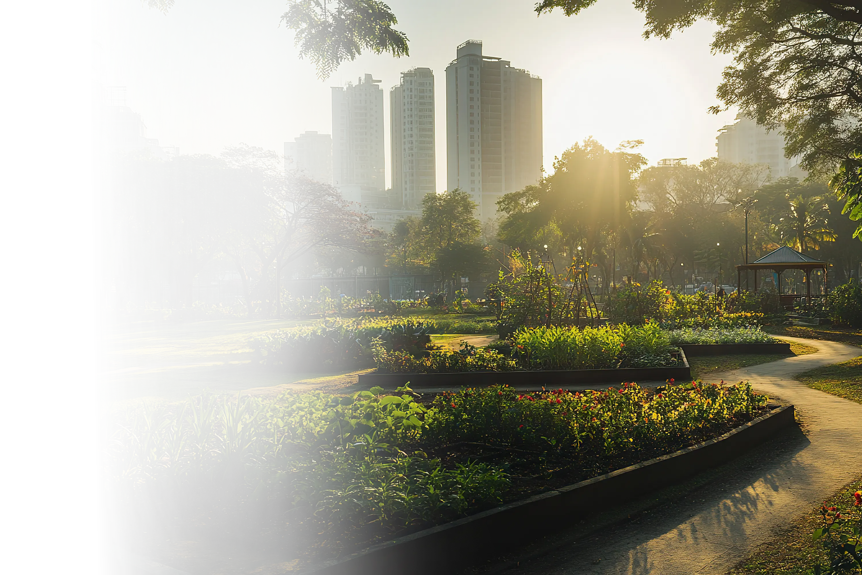 Garden Nature View